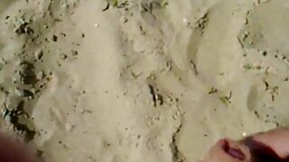 بالوں والی بلی والی  ...